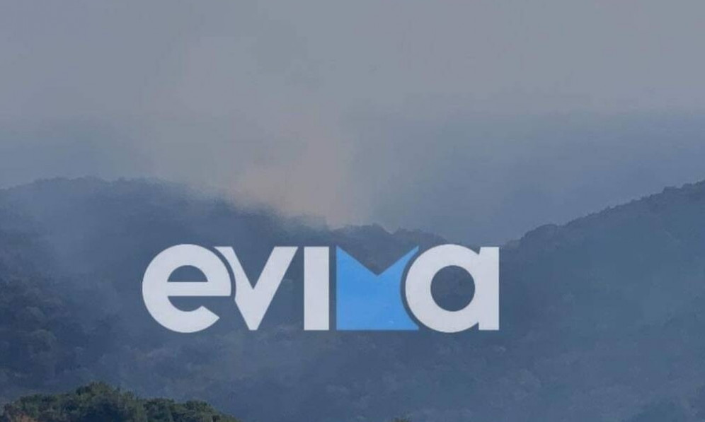 Φωτιά ΤΩΡΑ στις Πετριές Εύβοιας – Συναγερμός στην πυροσβεστική